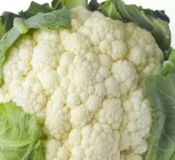蔬菜瓜果、鲜肉、冷冻食品、海鲜农产品